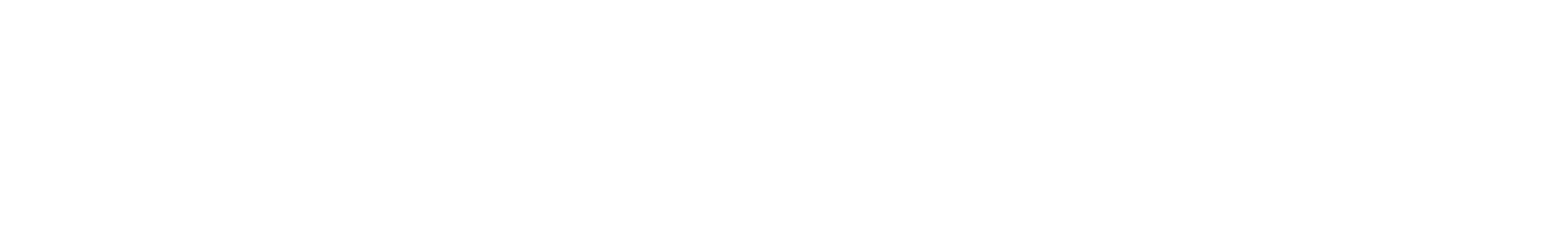 Zorro Stuff logo